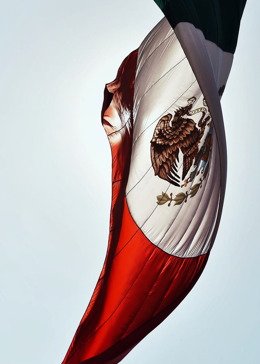 Best Mexican Flag [], mexico flag aesthetic HD phone wallpaper