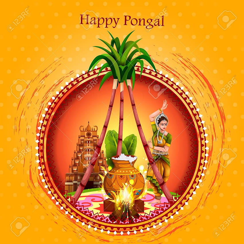 Tamil Nadu Hindistan'ın Mutlu Pongal Festivali Arka Plan Telif Hakkı [1300x1300], Mobil ve Tabletiniz için mutlu pongal 2021 HD telefon duvar kağıdı