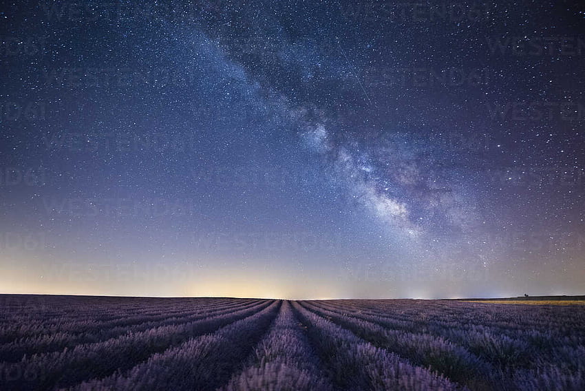 France, Provence, Lavender fields with milky way at night, lavender field at starry night HD wallpaper