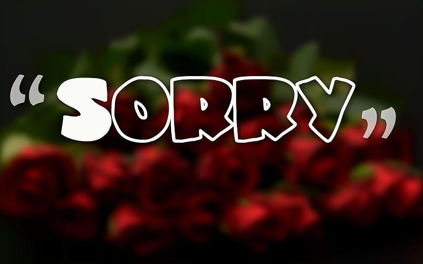 49 ) Im Sorry For, i m sorry HD wallpaper