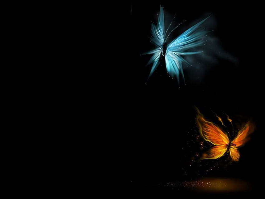 best size 3D Butterfly With Black Screen, full dark black screen HD wallpaper