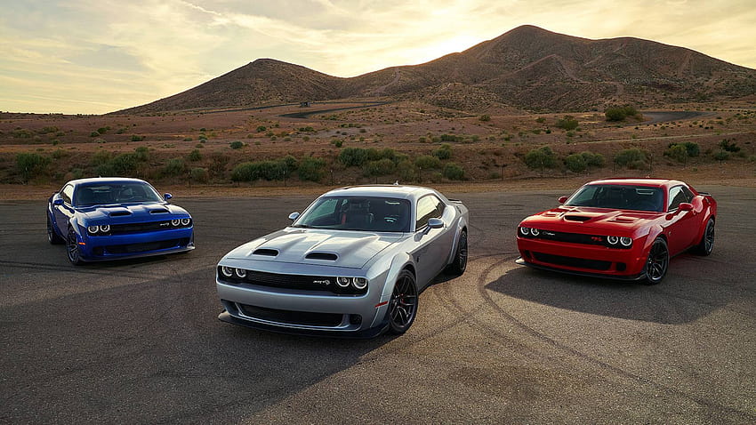 Perro: 2019 Dodge Charger Hellcat, dodge challenger wildcat fondo de ...