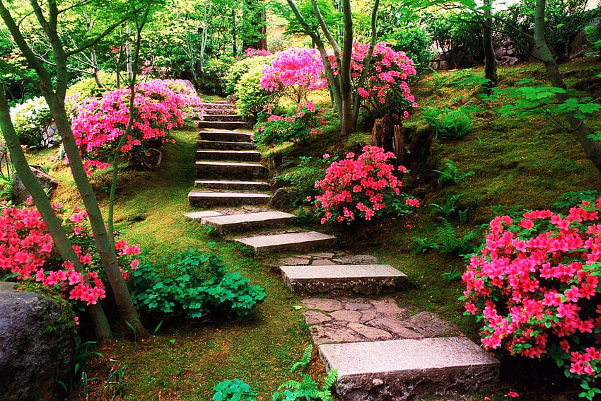 Other: Steps Blooms Flowers Pink Stairs Red Trees Garden HD wallpaper