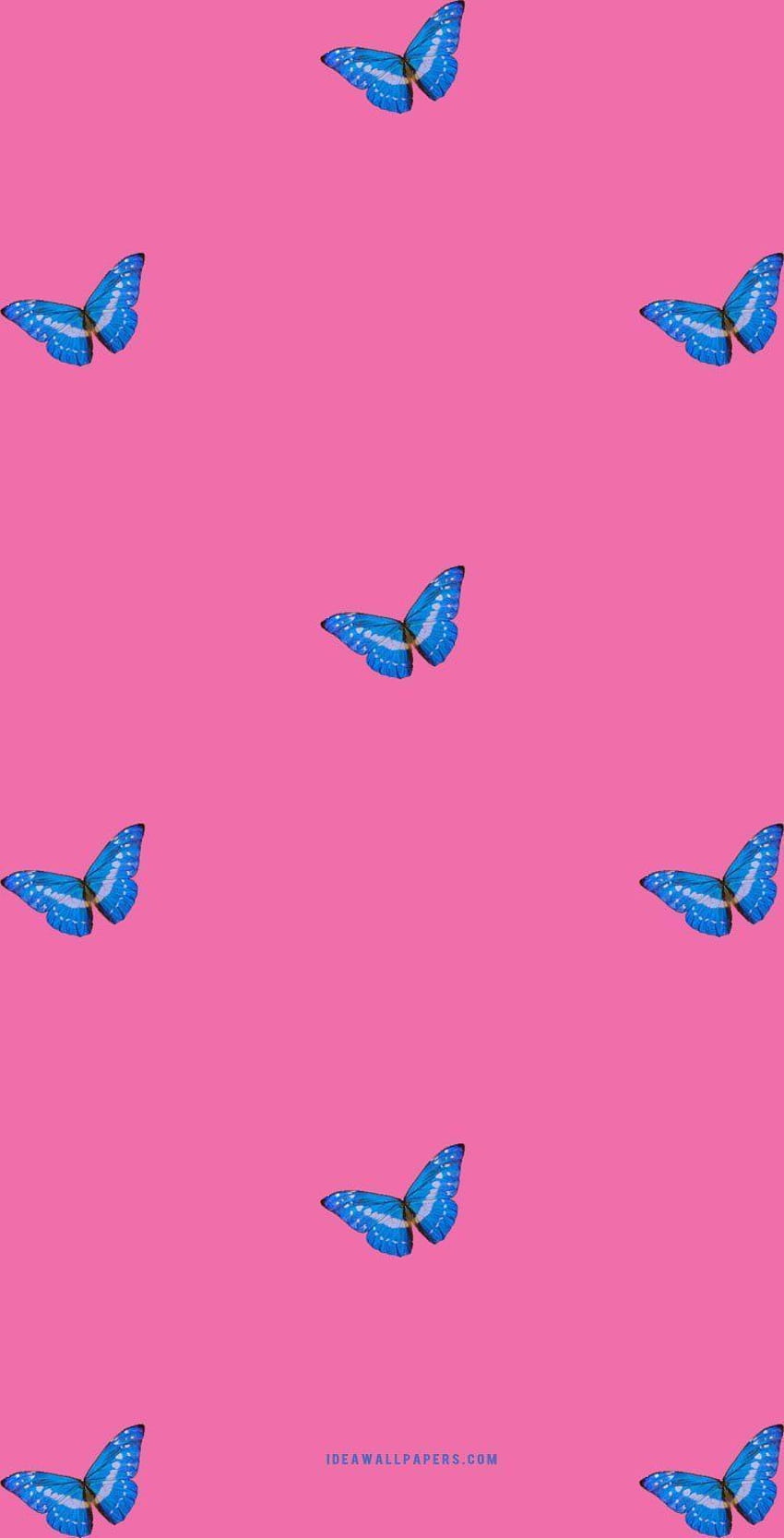 drawings fun in 2020, cute butterfly baby pink HD phone wallpaper