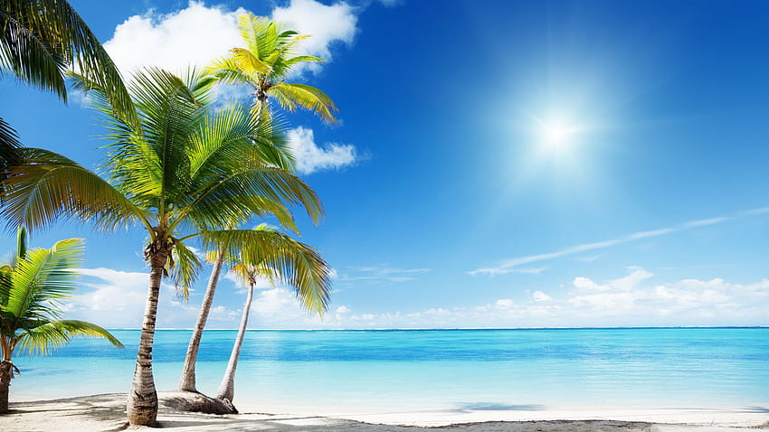 Tropical Beach Full Is Cool, Paradiesstrand ultra HD-Hintergrundbild