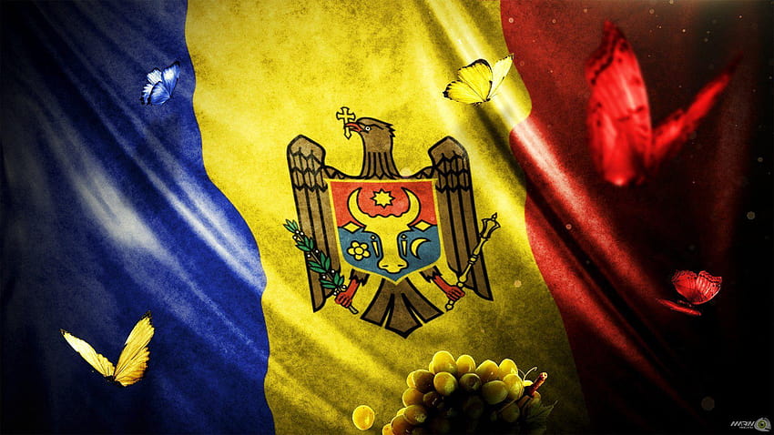 mołdawia md marin mocanu projekt flaga czerwony niebieski żółty Tapeta HD
