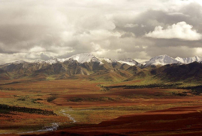 Tundra Tag : Montañas Naturaleza Denali Paisajes Tundra fondo de pantalla