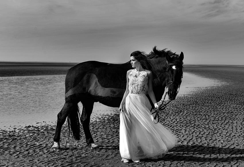 Hitam Amp Putih Bride Gadis Kuda Model Gaun Pernikahan Wanita, kuda hitam dan putih Wallpaper HD