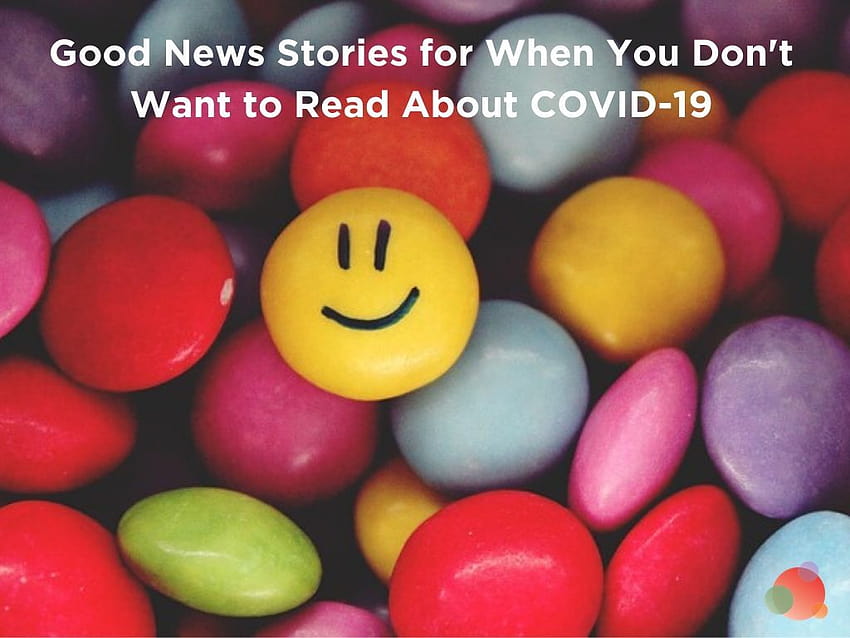 Good News Stories for When You Don't Want to Read About COVID HD wallpaper