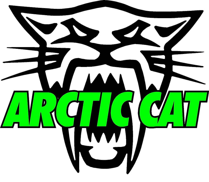 Arktik kedi logoları HD duvar kağıdı