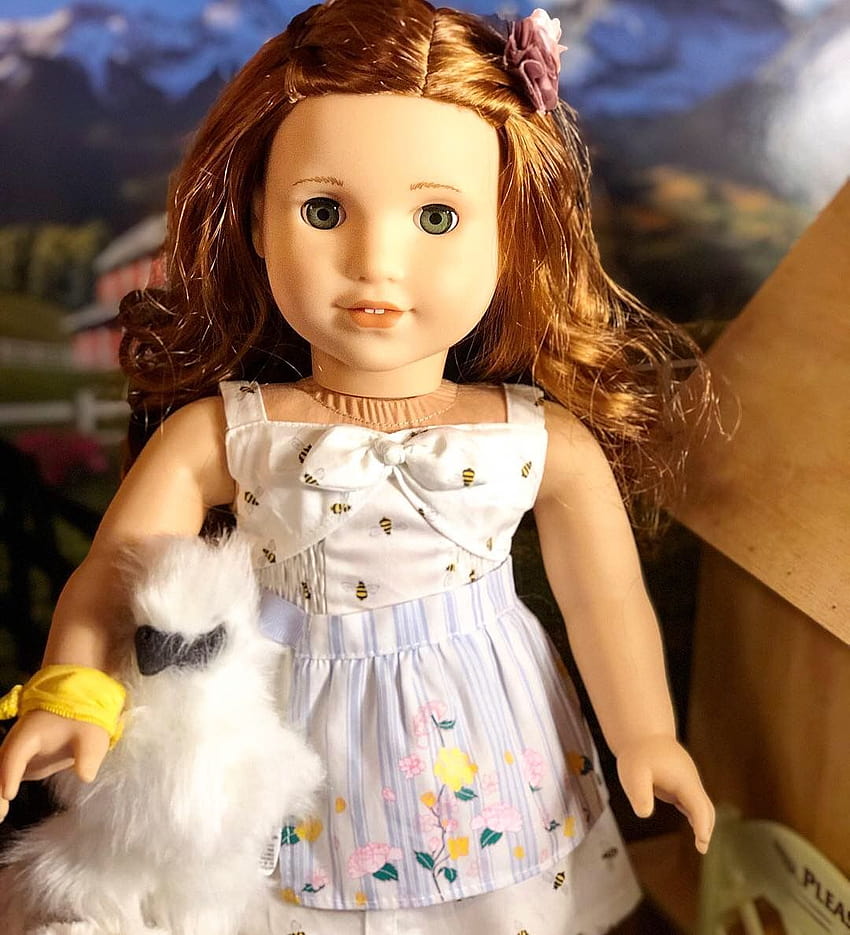 American Girl Doll goty Blaire Wilson with her Silkie hen, blaire wilson doll HD phone wallpaper