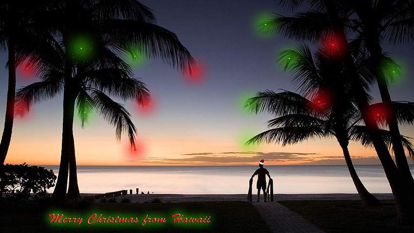 Hawaiian Christmas, tropical christmas HD wallpaper