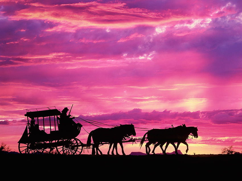 Carriage in sunset, horses at sunset HD wallpaper