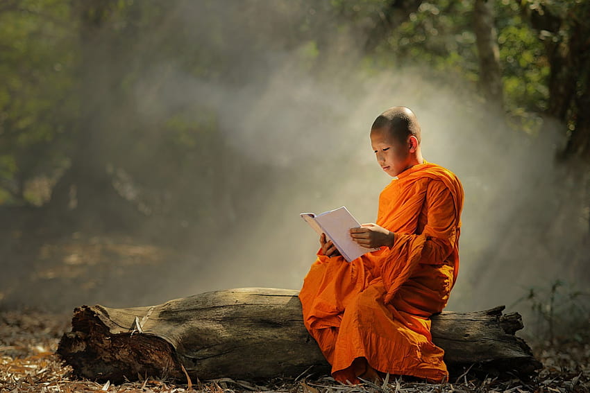 Щифт върху графика, будистки монах HD тапет
