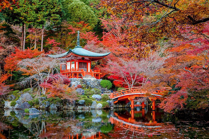 Best Daigo ji temple in autumn, autumn temple HD wallpaper