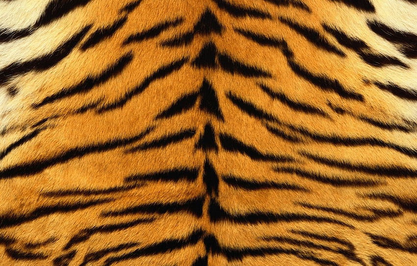 strips, tiger, skin, fur, striped, tiger skin HD wallpaper