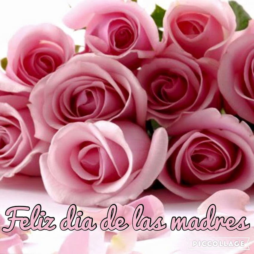 Rosas Rosas! Feliz día de las Madres., Feliz dia de las madres wallpaper ponsel HD