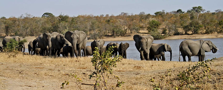 Kruger National Park Pack, von Ronald Peer, 24.05.15 HD-Hintergrundbild