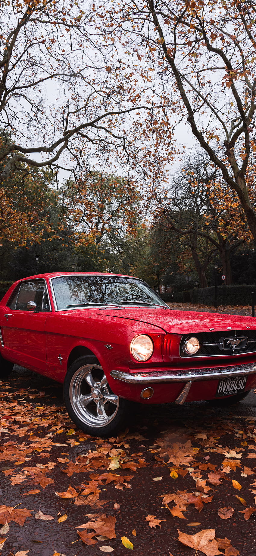 Ford Mustang for iPhone 11, Pro Max, X, 8, 7, 6, 1965 ford mustang HD phone wallpaper