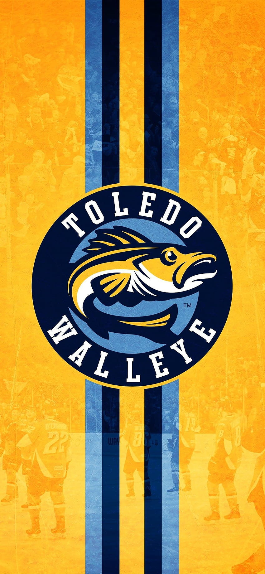 Logo Toledo Walleye wallpaper ponsel HD