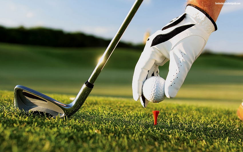 sports golf backgrounds games 14 17836 My [1600x1000] for your , Mobile & Tablet, sports games HD wallpaper