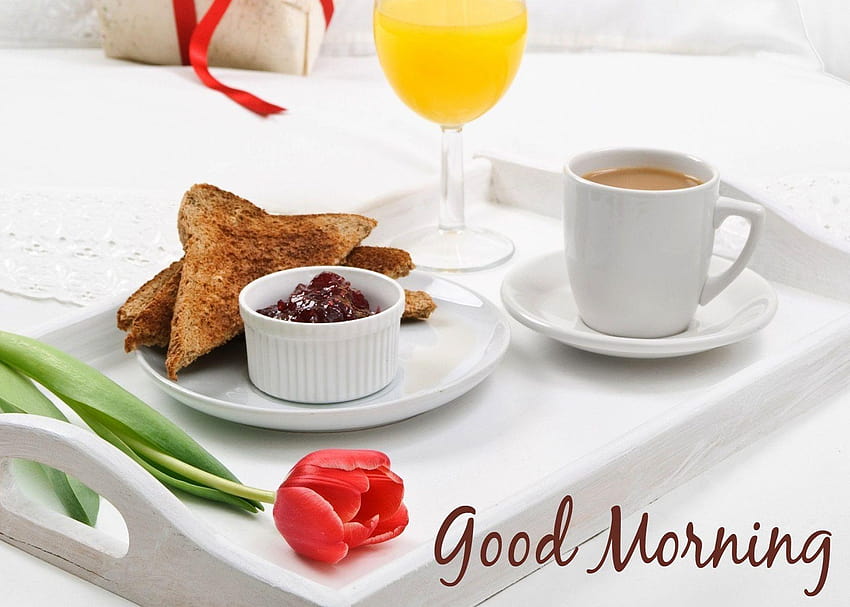 good morning tea flowers nice Rocks, morning breakfast HD wallpaper