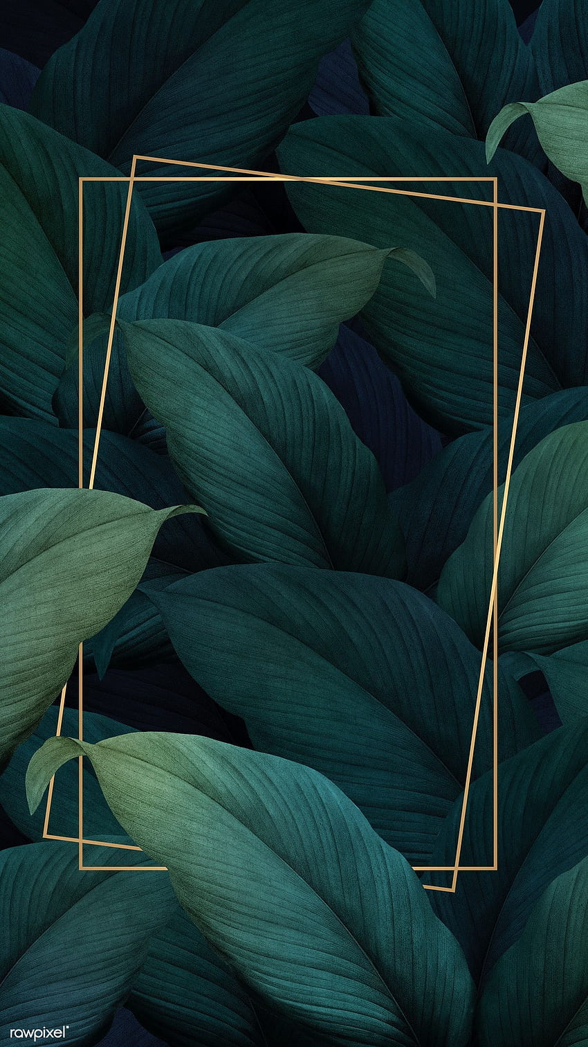 미적 열대, 미적 어두운 잎 HD 전화 배경 화면