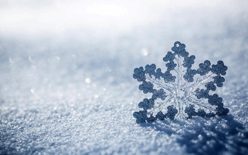 Best Pic Of Snowflake Ice Snow Winter HD wallpaper