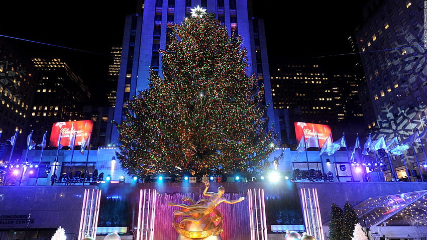 The 2019 Rockefeller Christmas tree was cut down, times square christmas tree HD wallpaper