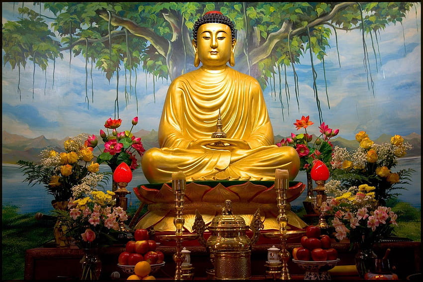 Pan Gautama Budda Tapeta HD
