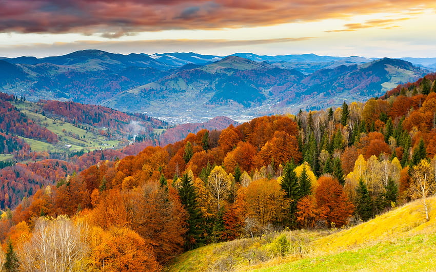 2560x1600 px、秋、美しい、雲、風景、山、空、日没、木、冬、高品質、高精細 高画質の壁紙