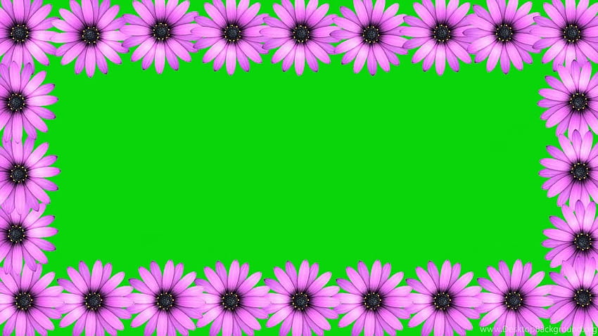 Tła weselne Efekty wideo Animacja Różowy Kwiat Ramka ... Tła, ramka ślubna Tapeta HD
