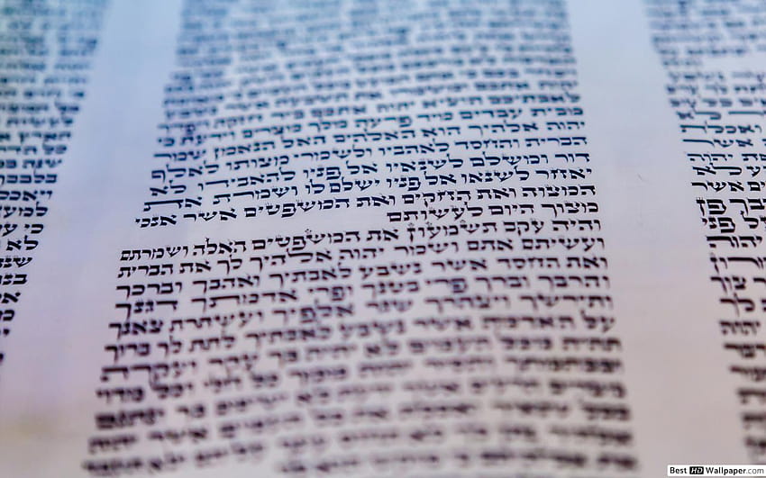 Sefer Torah Parashat Ekev aperto dagli ebrei Sfondo HD