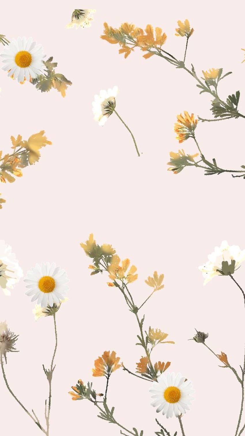 Flower Wallpaper iPhone Aesthetic Backgrounds  AnjaHome