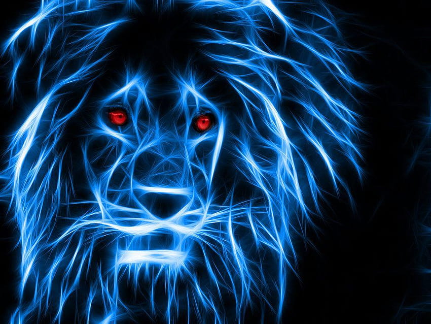 neon cats, fire lion HD wallpaper