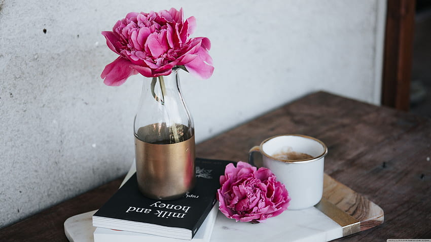 Pink Peony Flower, Books, Coffee Mug, Wooden Table Ultra Backgrounds for U TV : & UltraWide & Laptop : Tablet : Smartphone HD wallpaper