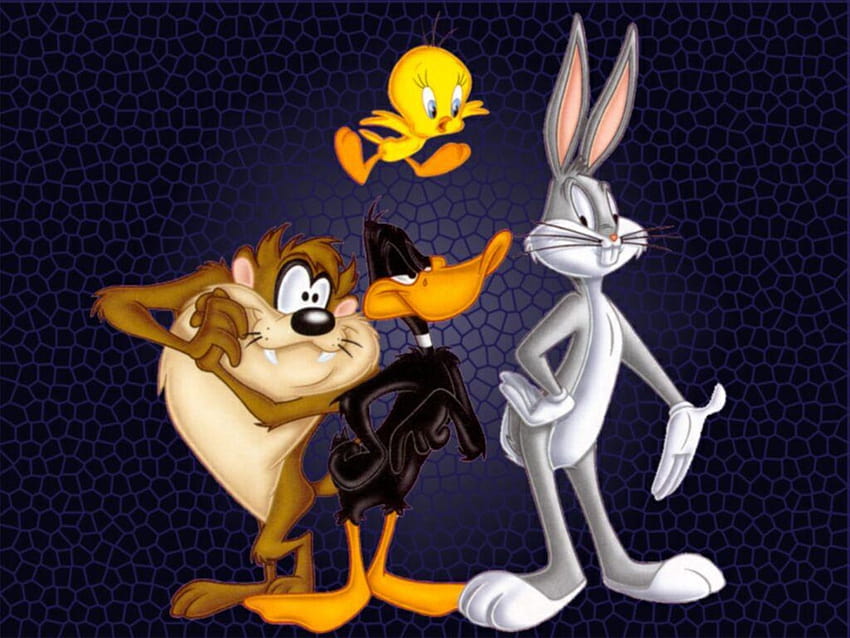 looney, Tunes, Humor, Funny, Cartoon, Family, Merrie, Melodies / and Mobile Backgrounds, looney tunes cartoons HD wallpaper
