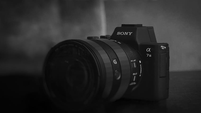 Sony a7SII Shutter Count - How to Check & Is it important? - Emma Lucy  Photography