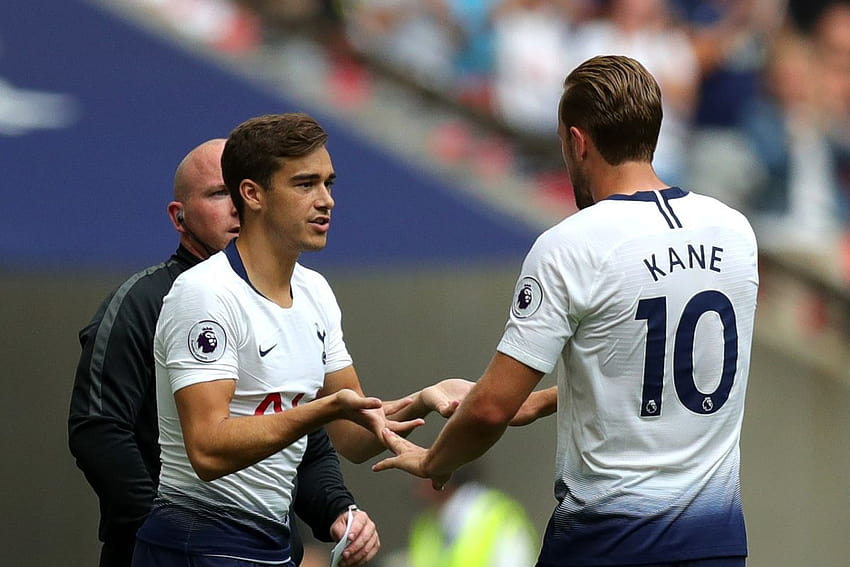 Harry Winks is back, and ready to work his way into Spurs' midfield HD wallpaper