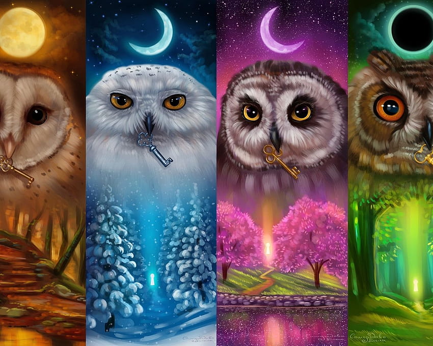 Renkli baykuşlar, dört mevsim, sanat 640x1136 iPhone 5/5S/5C/SE , arka plan, baykuş sanatı HD duvar kağıdı
