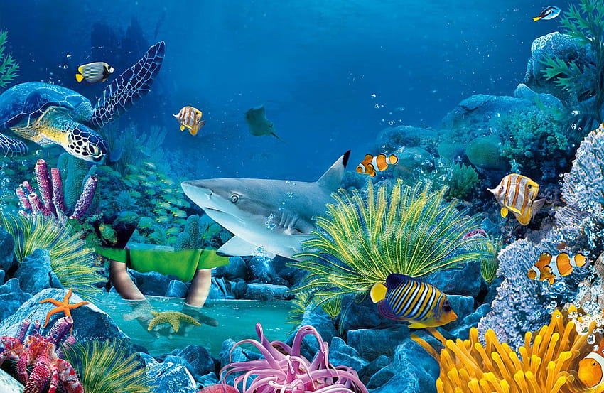 Sea Life Backgrounds [1357x883] for your , Mobile & Tablet, ocean ...