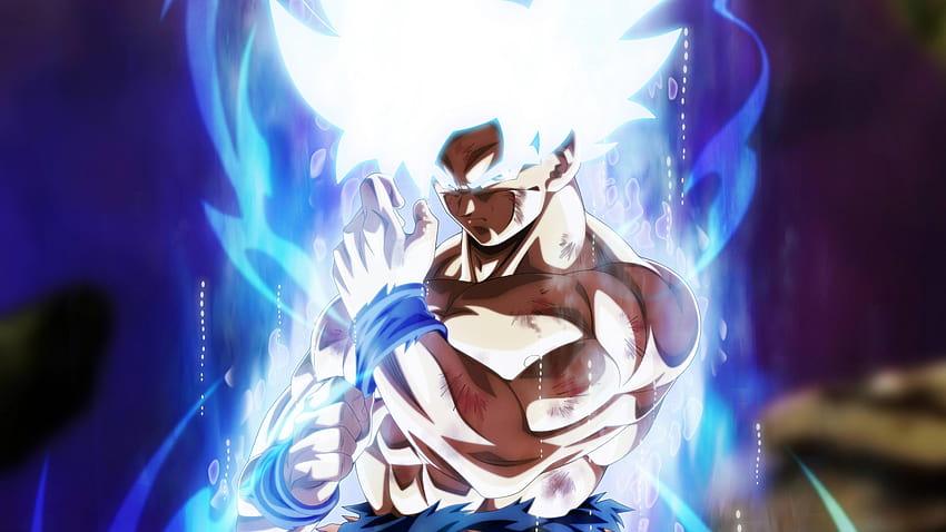 Goku Mastered Perfect Ultra Instinct Dragon Ball Super, vegito mastered  ultra instinct HD wallpaper | Pxfuel