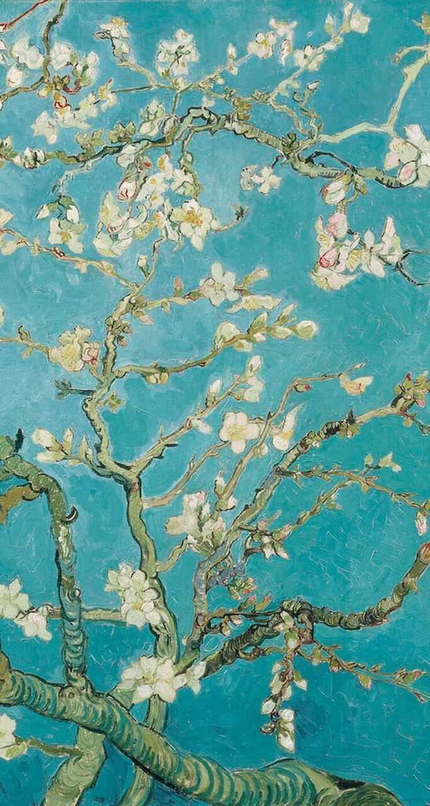 Almond blossom, van gogh blossom HD phone wallpaper