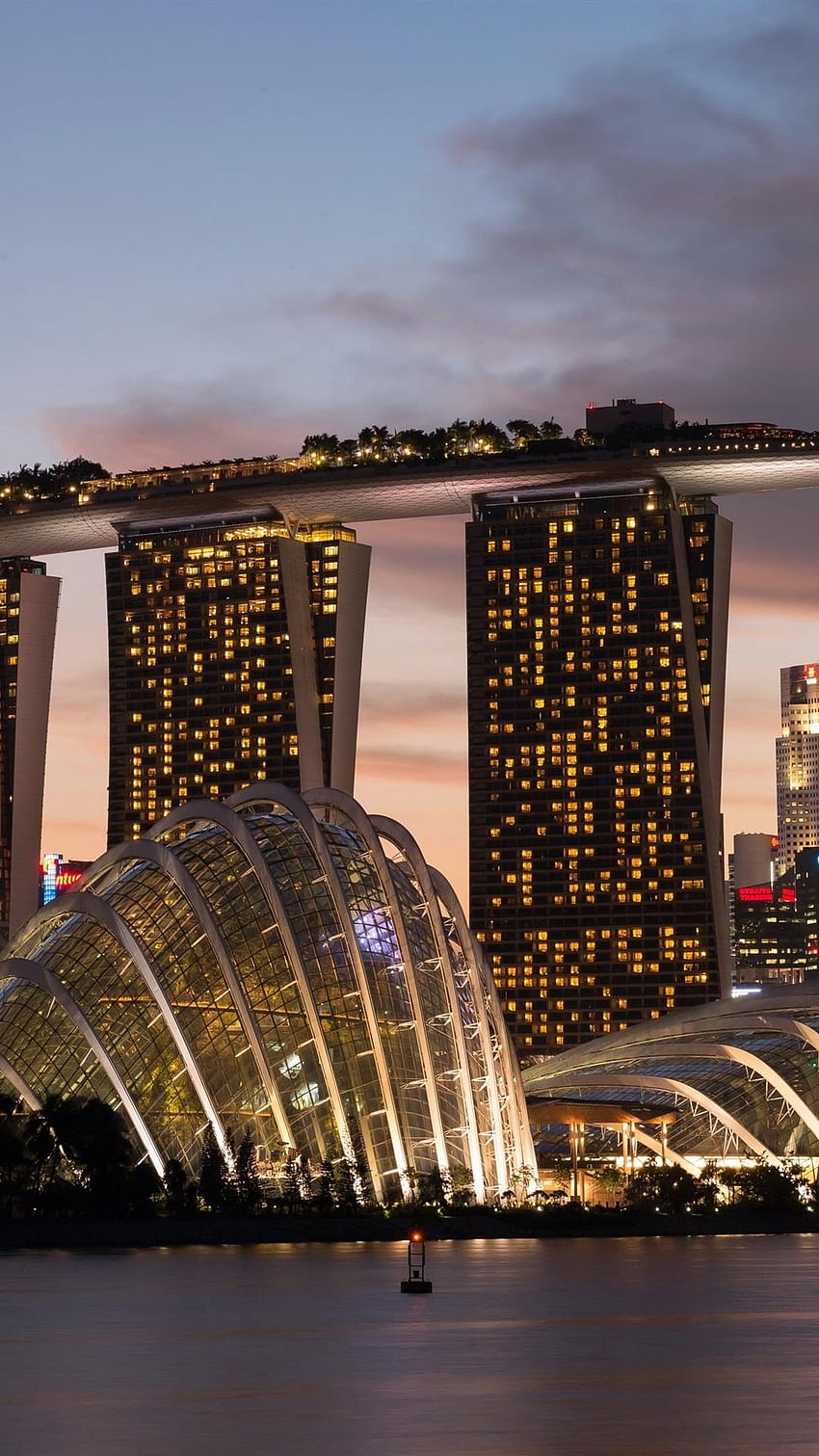 Singapore, city night, skyscrapers, buildings, promenade, iphone singapore  night HD phone wallpaper | Pxfuel