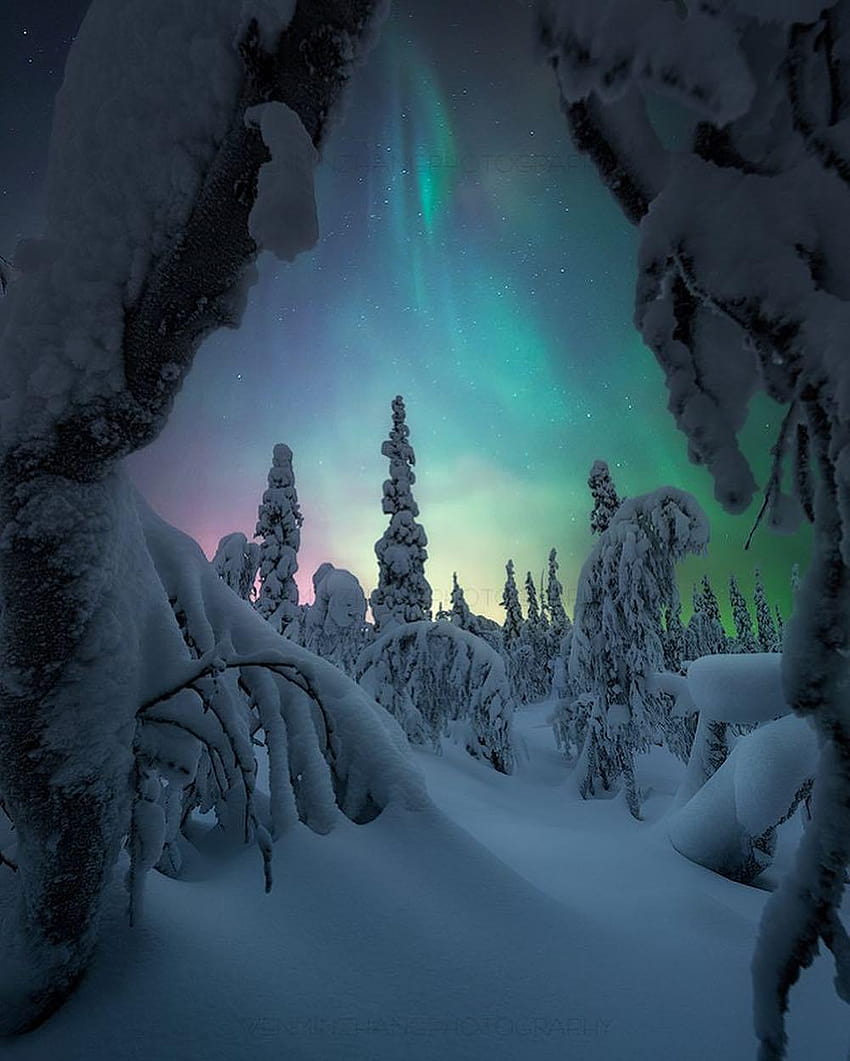 Aurora Northern Lights for Android, northern lights android HD phone  wallpaper | Pxfuel