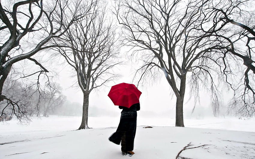 Alone Girl In Winter, winter woman HD wallpaper