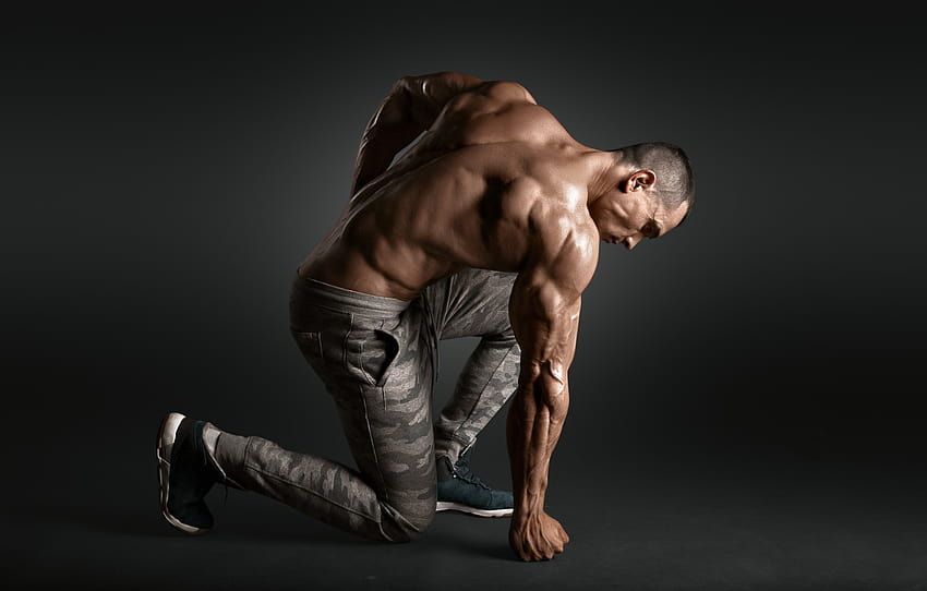 Pose, Rücken, Muskel, Muskel, Pose, Athlet, Bizeps, Bodybuilder, Gewicht, Bizeps, Bodybuilder , Abschnitt мужчины, Rückenpose HD-Hintergrundbild