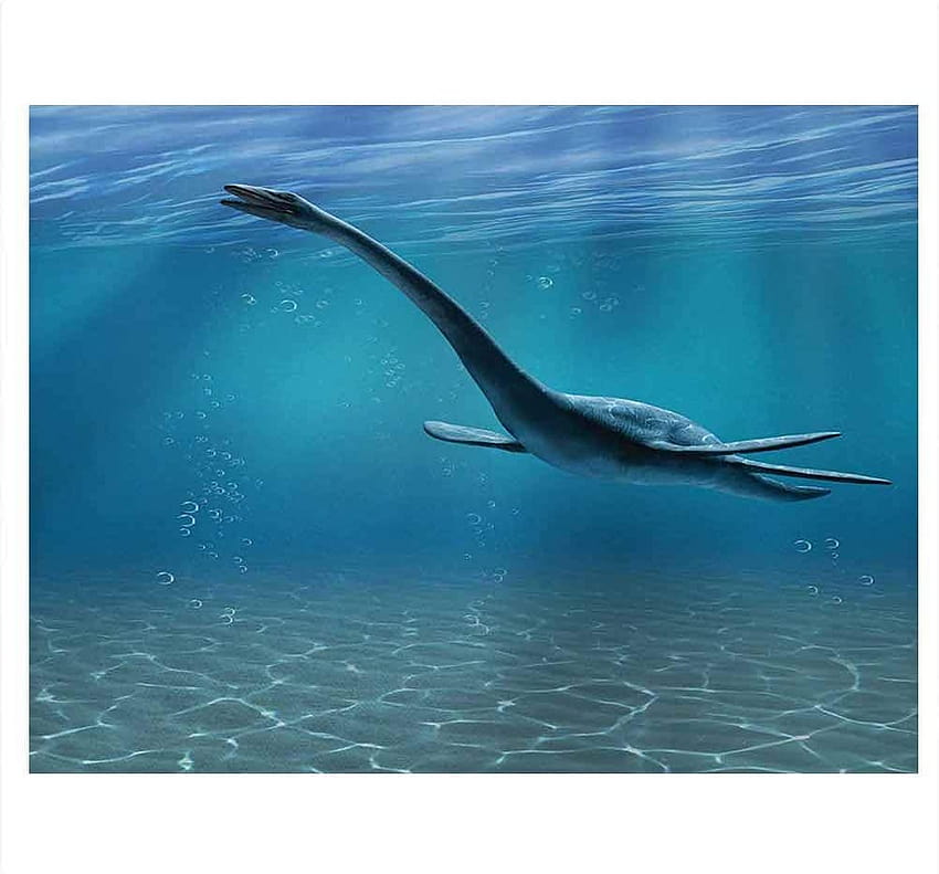 Amazon : ScottDecor Jurassic Aquarium Backgrounds Aquatic Dinosaur The Elasmosaurus Lived during the Cretaceous Period Artwork Print Home Fish Tank Backdrop Blue W48 X L18 Inch : Pet Supplies วอลล์เปเปอร์ HD