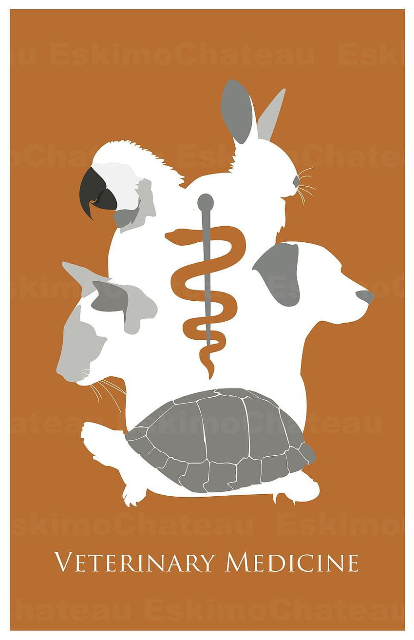 Veterinary Medicine/Tech 11x17 minimalism poster print, veterinarian HD phone wallpaper