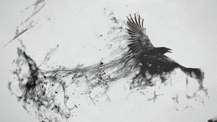 Raven Bird Flying Minimalism Smoke Art Abstract Black Grey, fumaça minimalista papel de parede HD